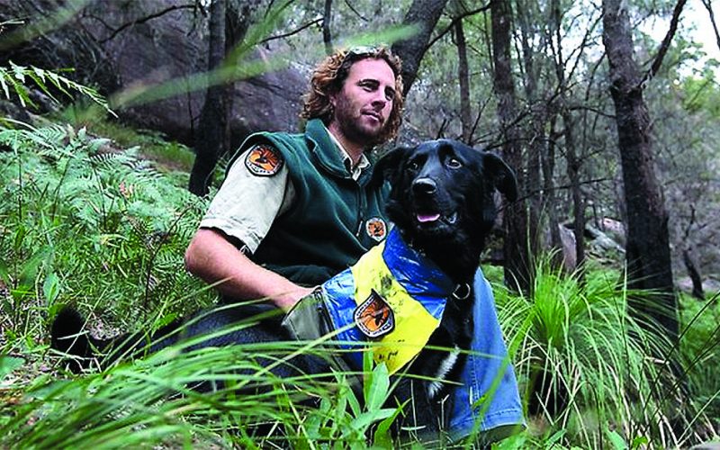 Canine Conservation Heroes
