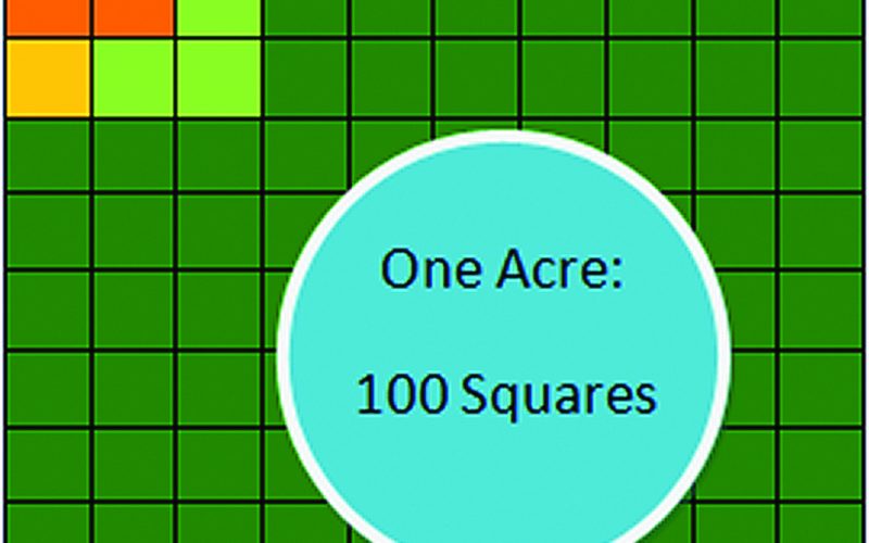 100 Wonders On One Acre