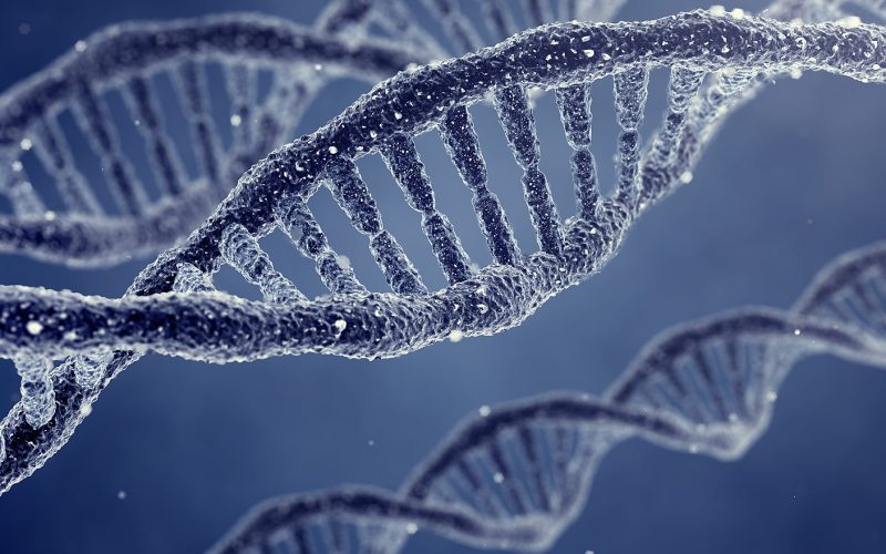 Supreme Court Decides: Our Genes Belong to Us…