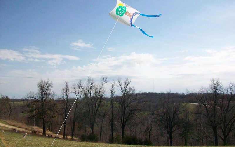 Go Fly a DIY Kite!
