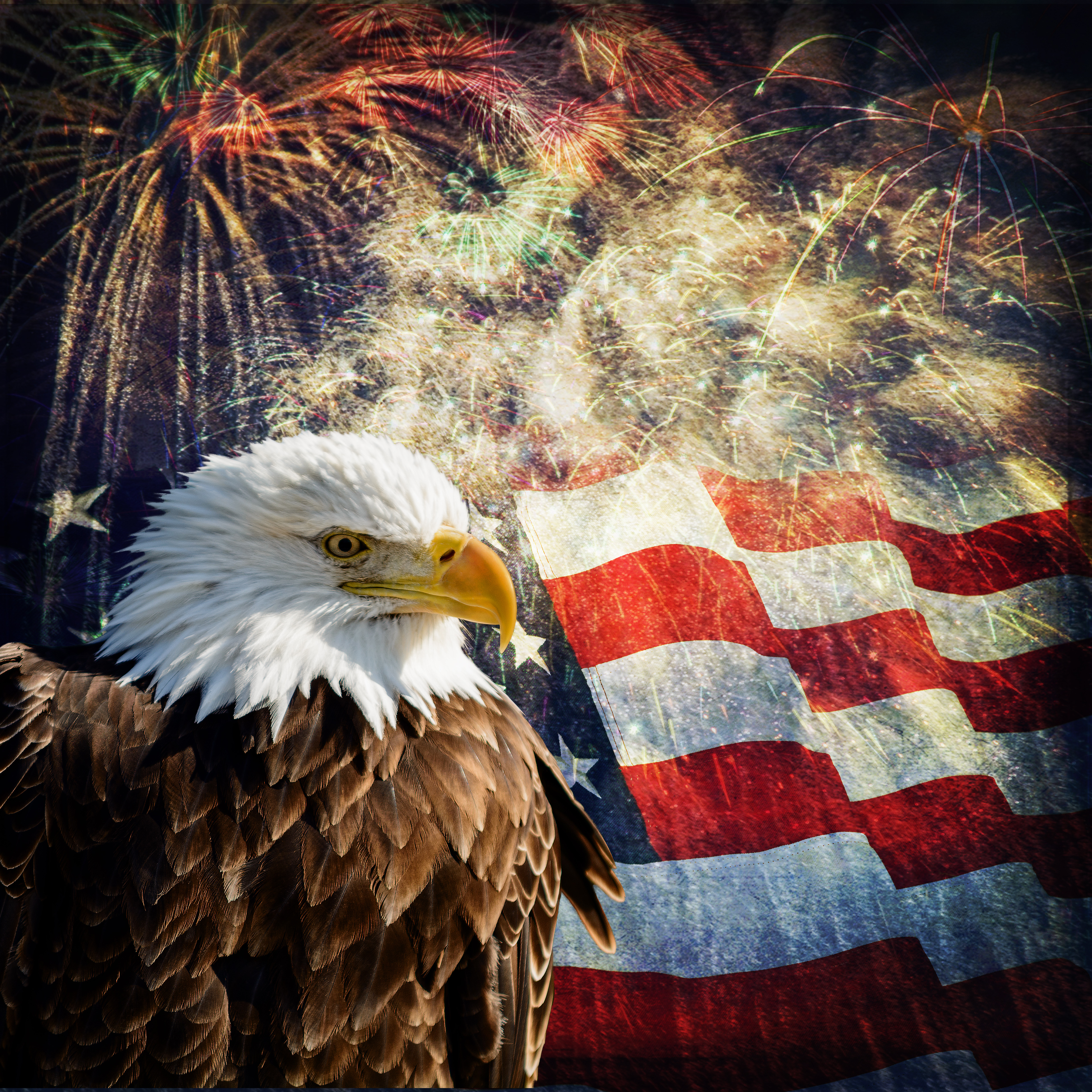 Top 90+ Wallpaper Happy 4th Of July Bald Eagle Updated