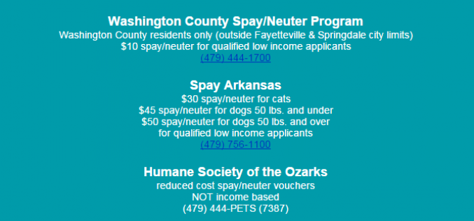 NWA Spay and Neuter Services