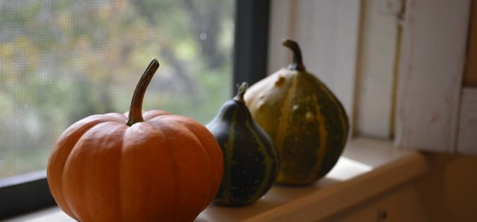 Ideas for Pumpkin Season