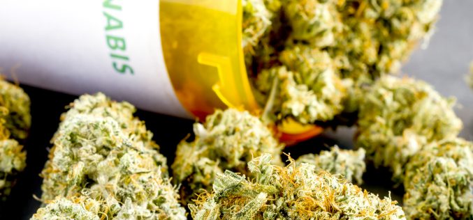 Issue 7 Arkansas Medical Cannabis Act Struck Down
