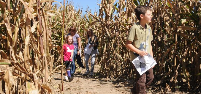 It’s Fall, Y’all: Thrills, Chills, Cemeteries And Corn Mazes Abound