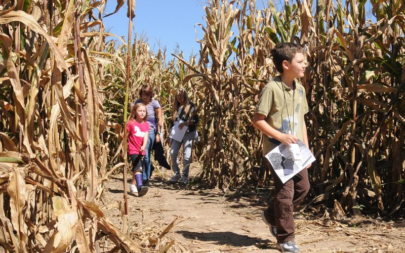 It’s Fall, Y’all: Thrills, Chills, Cemeteries And Corn Mazes Abound