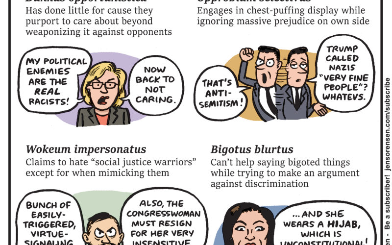 Field guide to bad-faith social justice activists