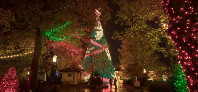 Holidays get even brighter at Silver Dollar City