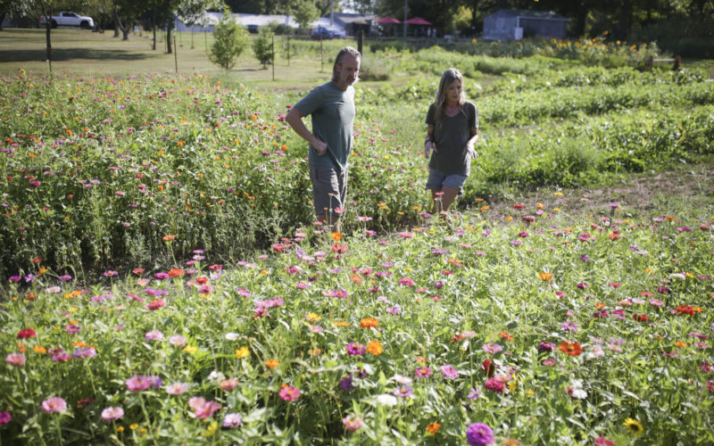 At Sacred Hollow Farm, customers pick wildflowers, find peace