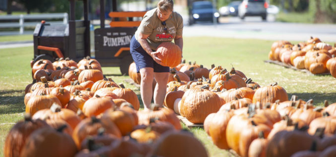 It’s Fall, Y’All! Find NWA’s best pumpkins, mazes, more