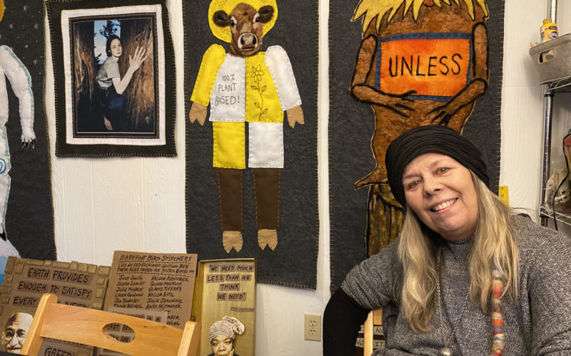 Musician, craftivist Donna Mulhollan tackles climate change