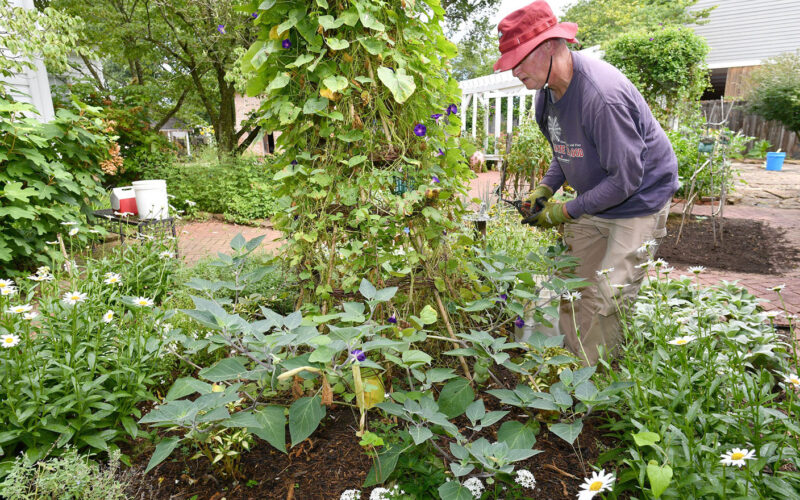 Master Gardeners get ready for WCHS Ice Cream Social Aug. 19