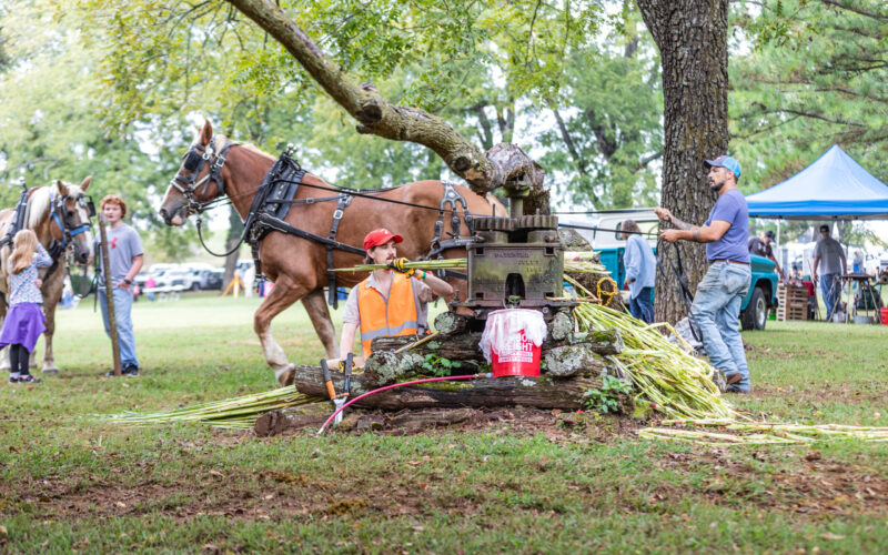 Cane Hill celebrates its past, present and future at annual festival Sept. 21