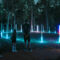 Time Loop by Klip Collective set to open in Crystal Bridges North Forest in Bentonville