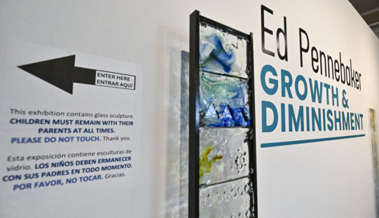 “Growth and Diminishment” exhibit at the Fort Smith Regional Art Museum explores life cycle and environmental change