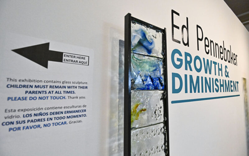 “Growth and Diminishment” exhibit at the Fort Smith Regional Art Museum explores life cycle and environmental change